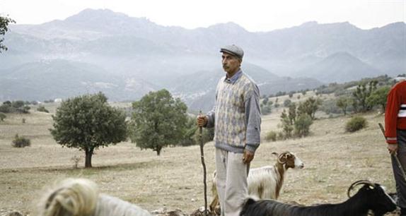 Uluslararası Dersim İnsan Hakları Film Festivali Başlıyor