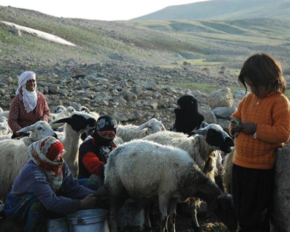 Şavaklar'ın Son Mevsimi