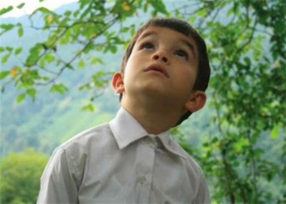 Oscar'larda "Bal" Son Dokuza Kalamadı